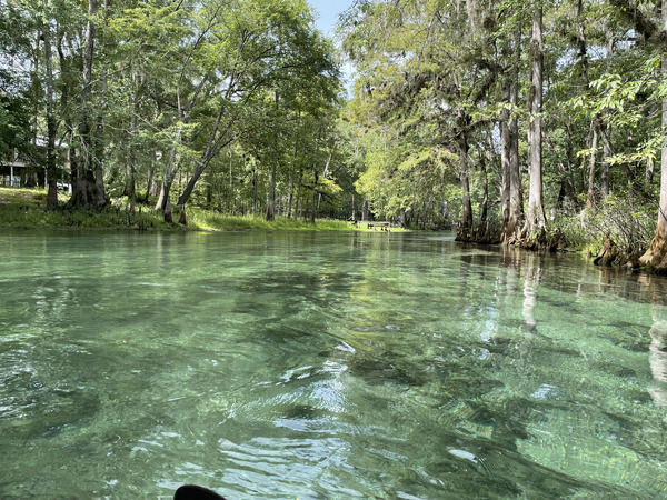 [Hodor Park, Ichetucknee River @ SW Riverside Ave. 2022-08-12]