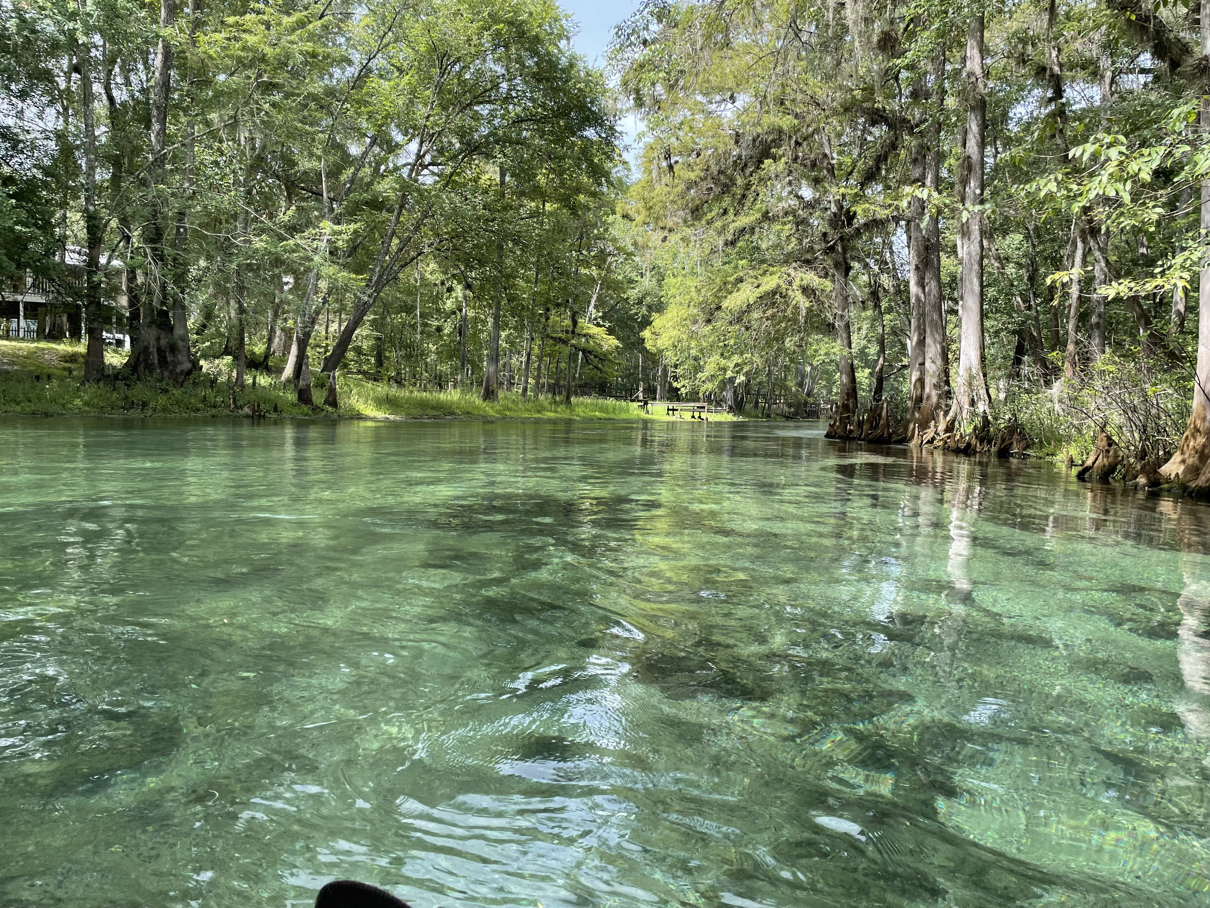 Hodor Park, Ichetucknee River @ SW Riverside Ave. 2022-08-12