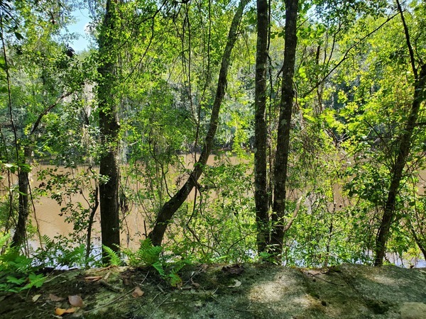 Old Bellville Bridge remains barely visible from abutment, 12:11:01, 30.5957447, -83.2598139