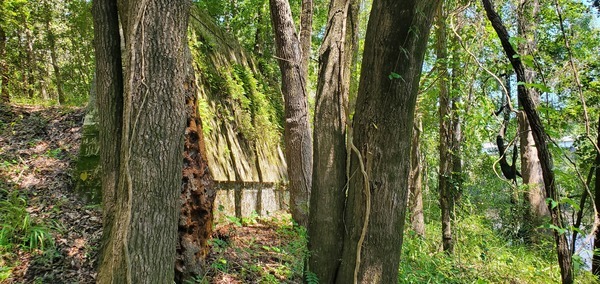 [Old Bellville Bridge abutment from below, 12:14:07, 30.5956808, -83.2596009]