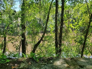 [Old Bellville Bridge remains barely visible from abutment, 12:11:01, 30.5957447, -83.2598139]