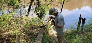 [Ken Sulak taking readings below Old Bellville Bridge abutment, 12:13:56, 30.5956810, -83.2596010]