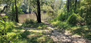 [Withlacoochee River, 12:30:39, 30.6039798, -83.2645465]