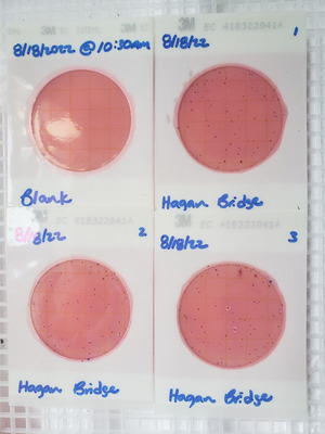 [Plates, Hagan Bridge Landing 2022-08-18]