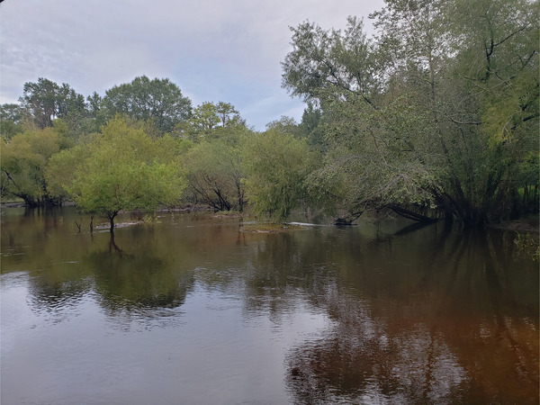 Folsom Bridge Landing, Little River @ GA 122 2022-09-01