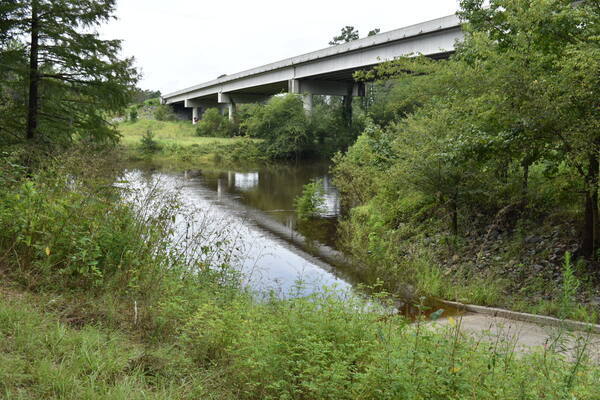 [State Line Boat Ramp, Withlacoochee River @ GA 133 2022-09-01]