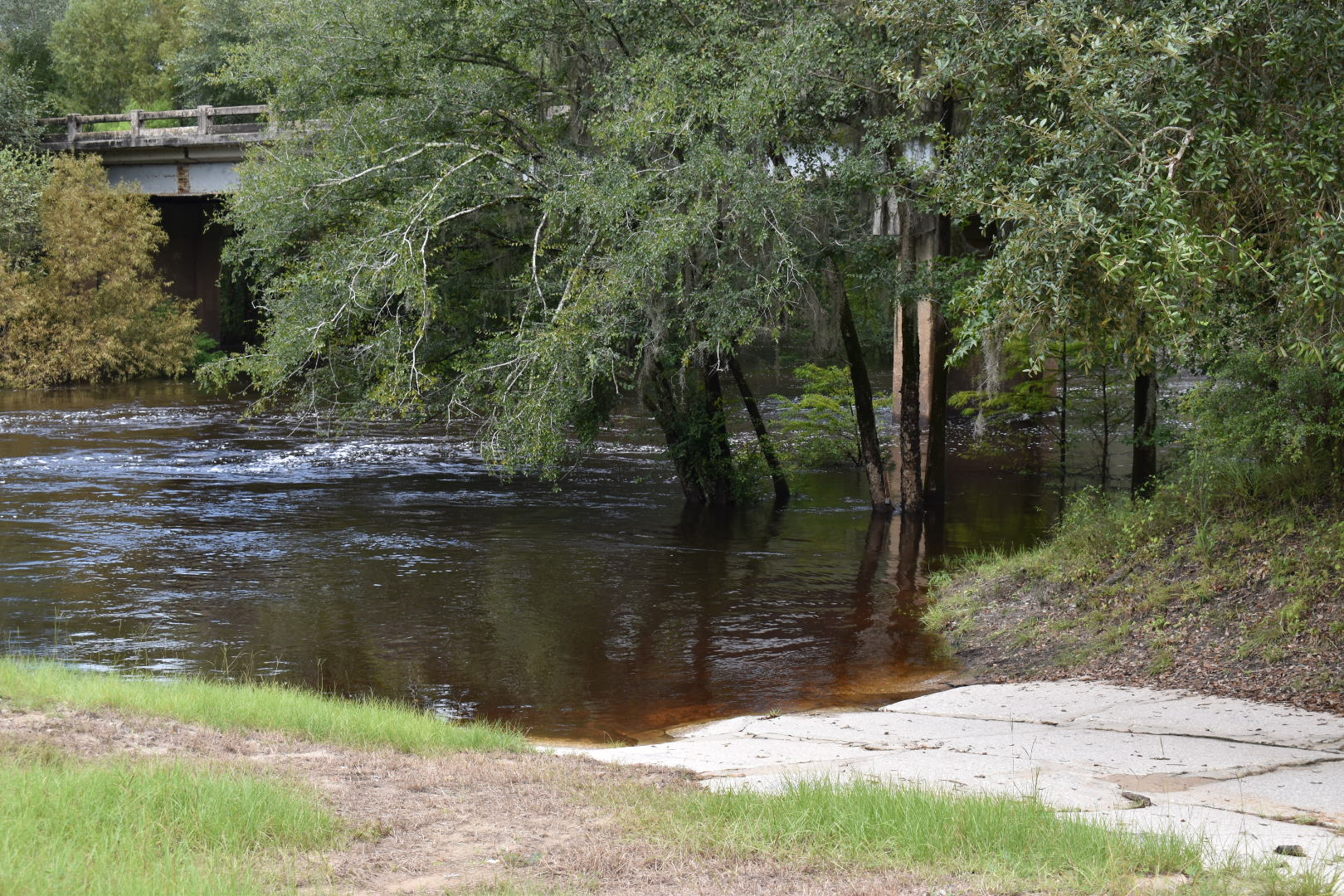 Nankin Boat Ramp, Withlacoochee River @ Clyattville-Nankin Road 2022-09-01