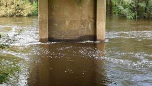 [Movie: Nankin Boat Ramp Water Level, Withlacoochee River @ Clyattville-Nankin Road 2022-09-01]