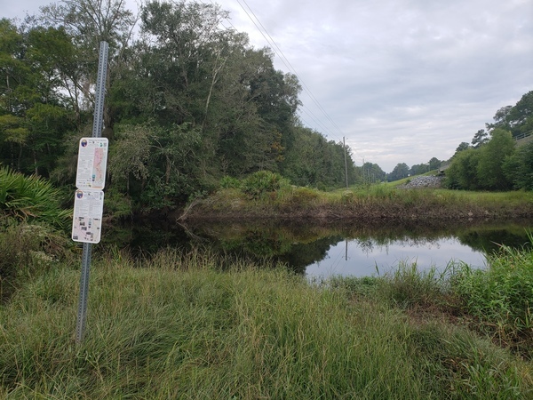 [Hagan Bridge Landing, Withlacoochee River @ GA 122 2022-09-08]