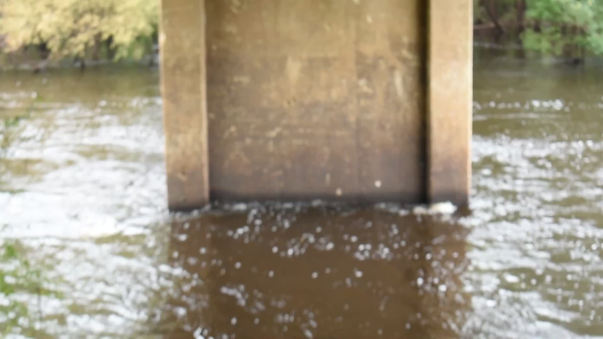 Movie: Nankin Boat Ramp, Withlacoochee River @ Clyattville-Nankin Road 2022-09-08