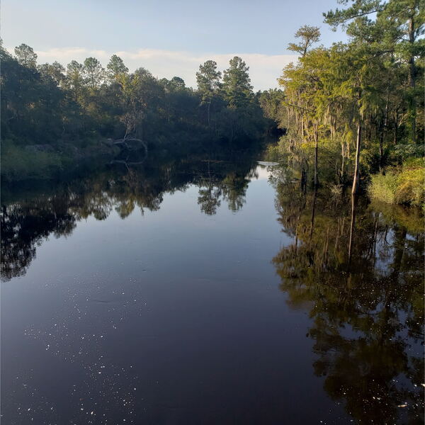 Lakeland Boat Ramp, Alapaha River @ GA 122 2022-09-15