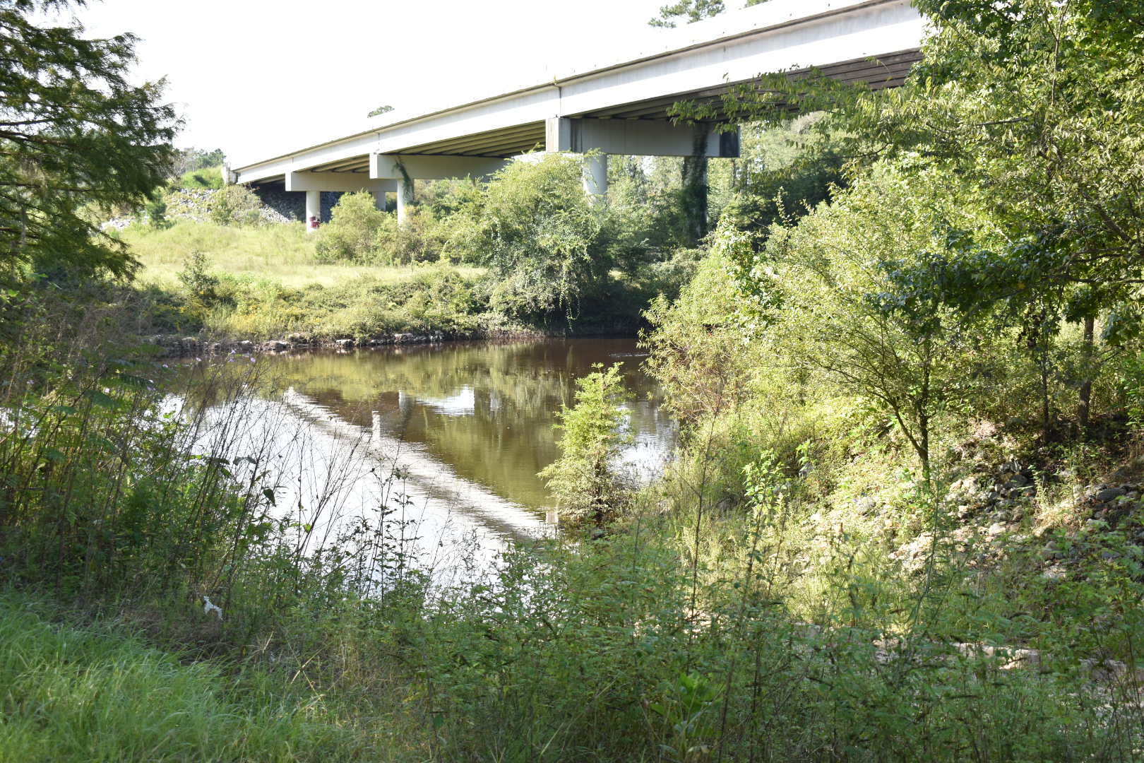 State Line Boat Ramp, Withlacoochee River @ GA 133 2022-09-15