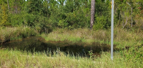 Culvert again between Dozer and Boggy Break Roads, 14:37:11, 30.5208660, -82.1467600