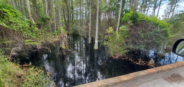 Upstream: Moccasin Creek Circle Bridge over 03070204007519, 15:17:35, 30.5447818, -82.2788772