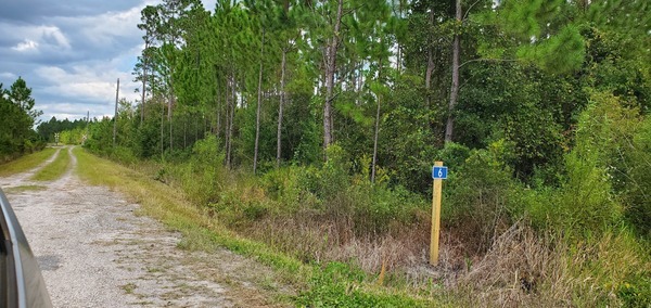 CR 6 sign @ FL 2, 15:33:43, 30.5308887, -82.3116597