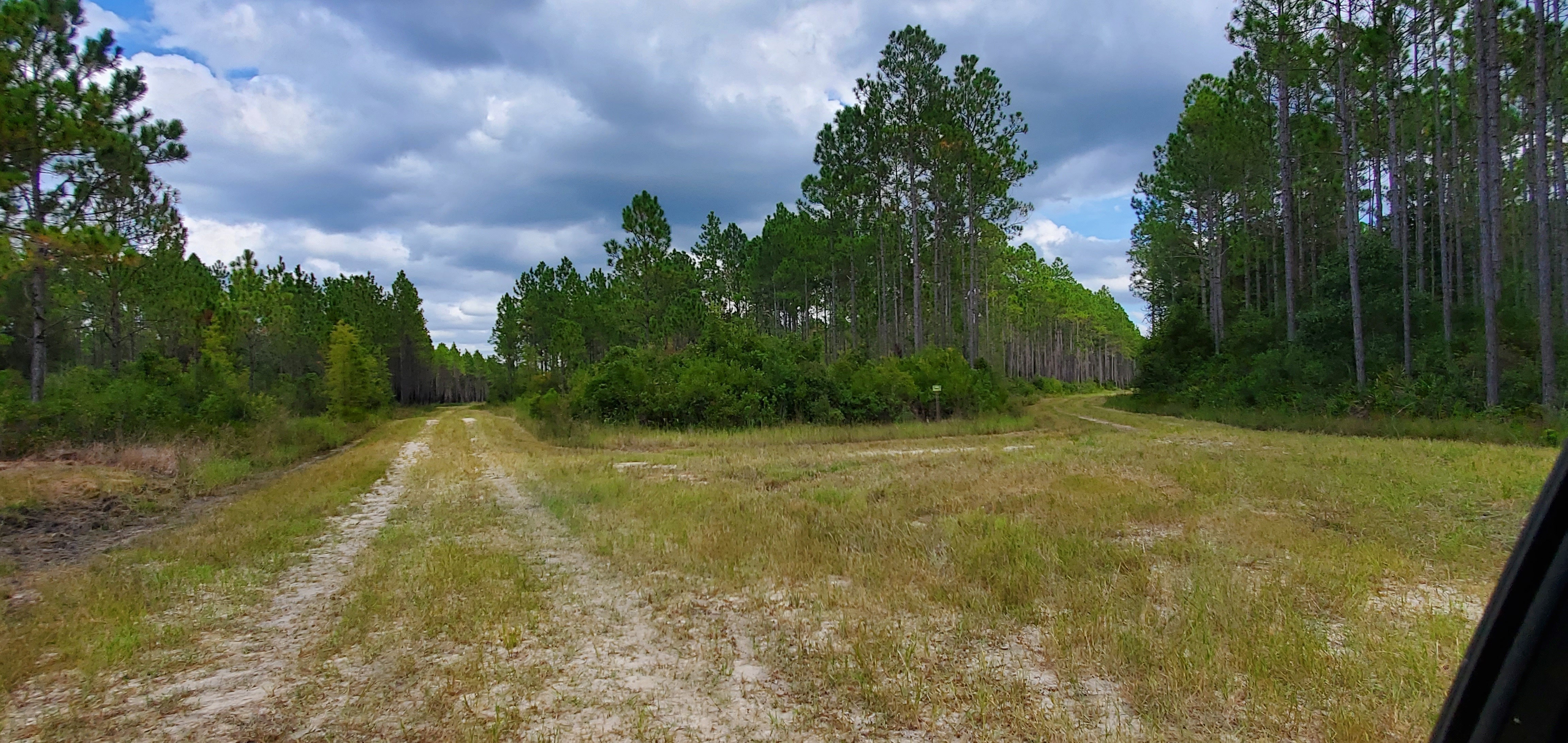 Internal crossroads, Moccasin Creek Circle, 15:25:33, 30.5461126, -82.2975386