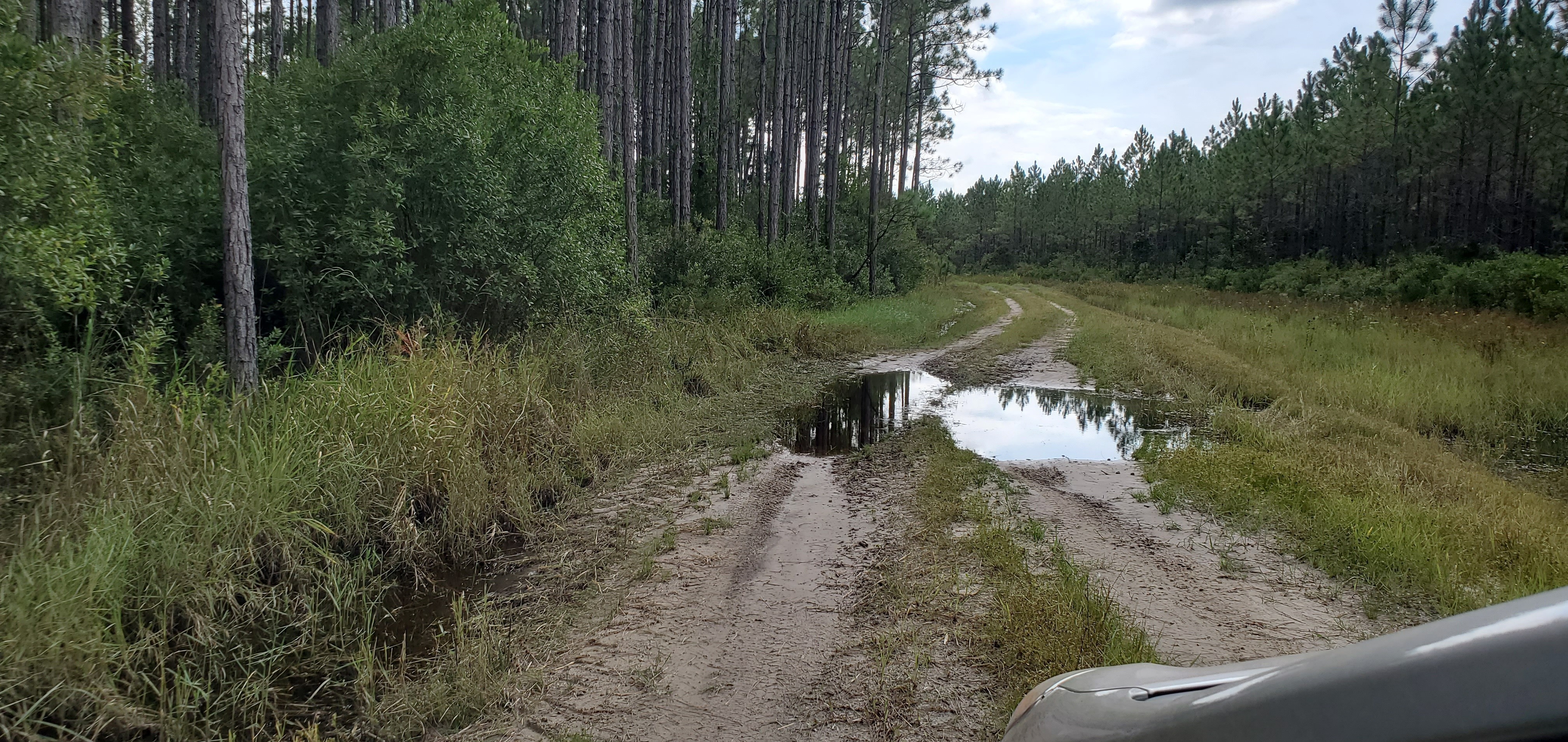 Unnamed wetland crosses CR 6, 15:30:47, 30.5349672, -82.3076213