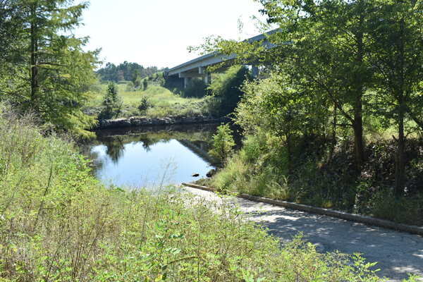 [State Line Boat Ramp, Withlacoochee River @ GA 133 2022-09-22]