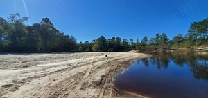 [People downstream on Berrien Beach]