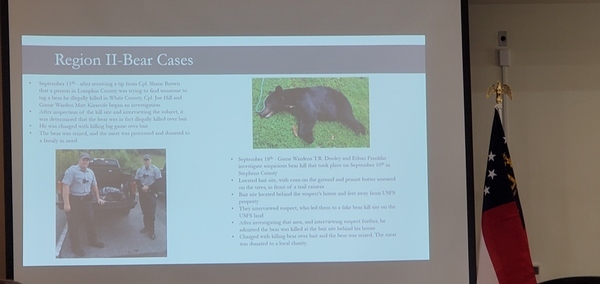 Region II Bear Cases