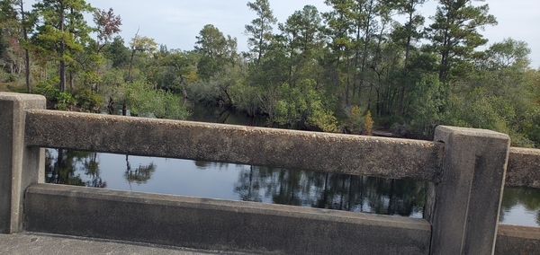 [Suwannee River from US 441, Fargo, GA, 2022:09:27 11:32:13, 30.6816070, -82.5607050]