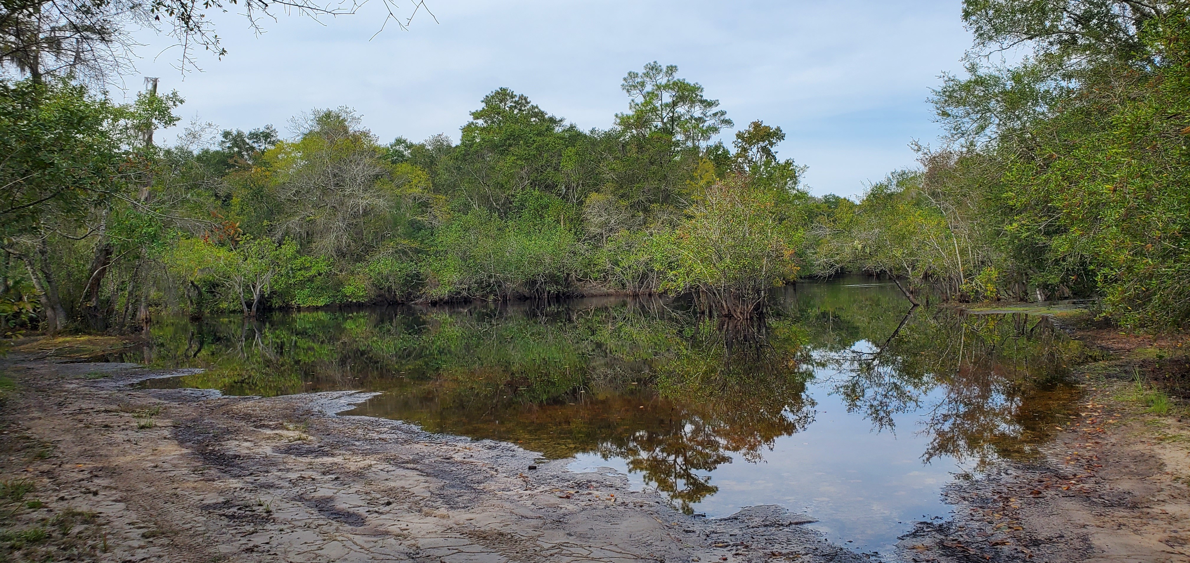 Griffis Landing, Suwannee River, 2022:09:27 11:57:25, 30.7844827, -82.4456342