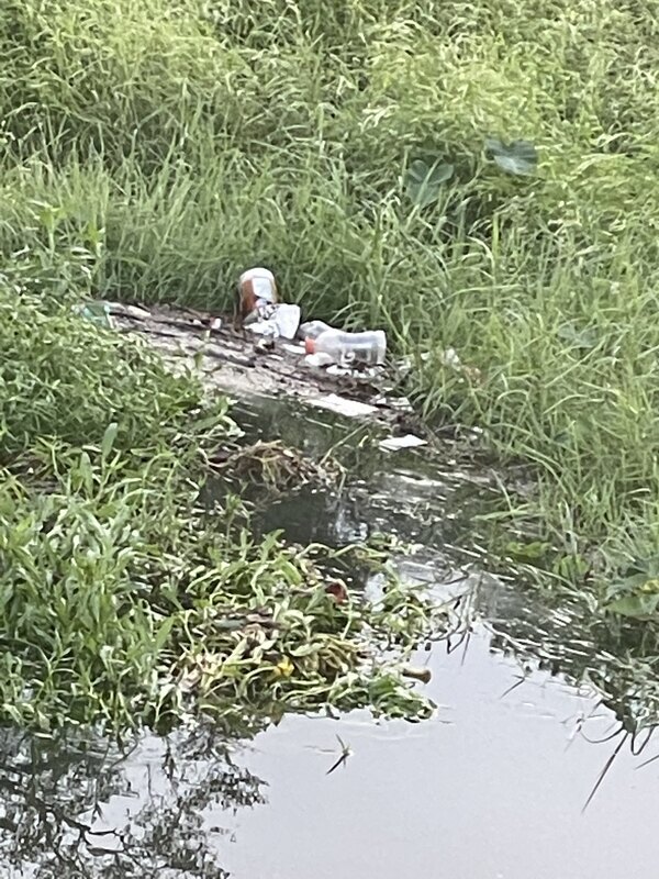 More trash buildup in the pond 11 September 2022.