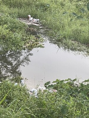 [Trash build up in the pond as of 11 September 2022 because the City’s homemade trash trap is not working.]