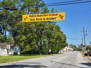 [Honeybee banner and street]