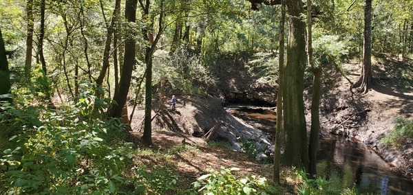 [Gretchen at the Dead River Sink, 13:05:42, 30.5822277, -83.0509627]