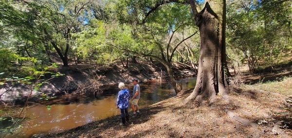 [Nice tree at the Dead River, 13:22:59, 30.5822263, -83.0516377]