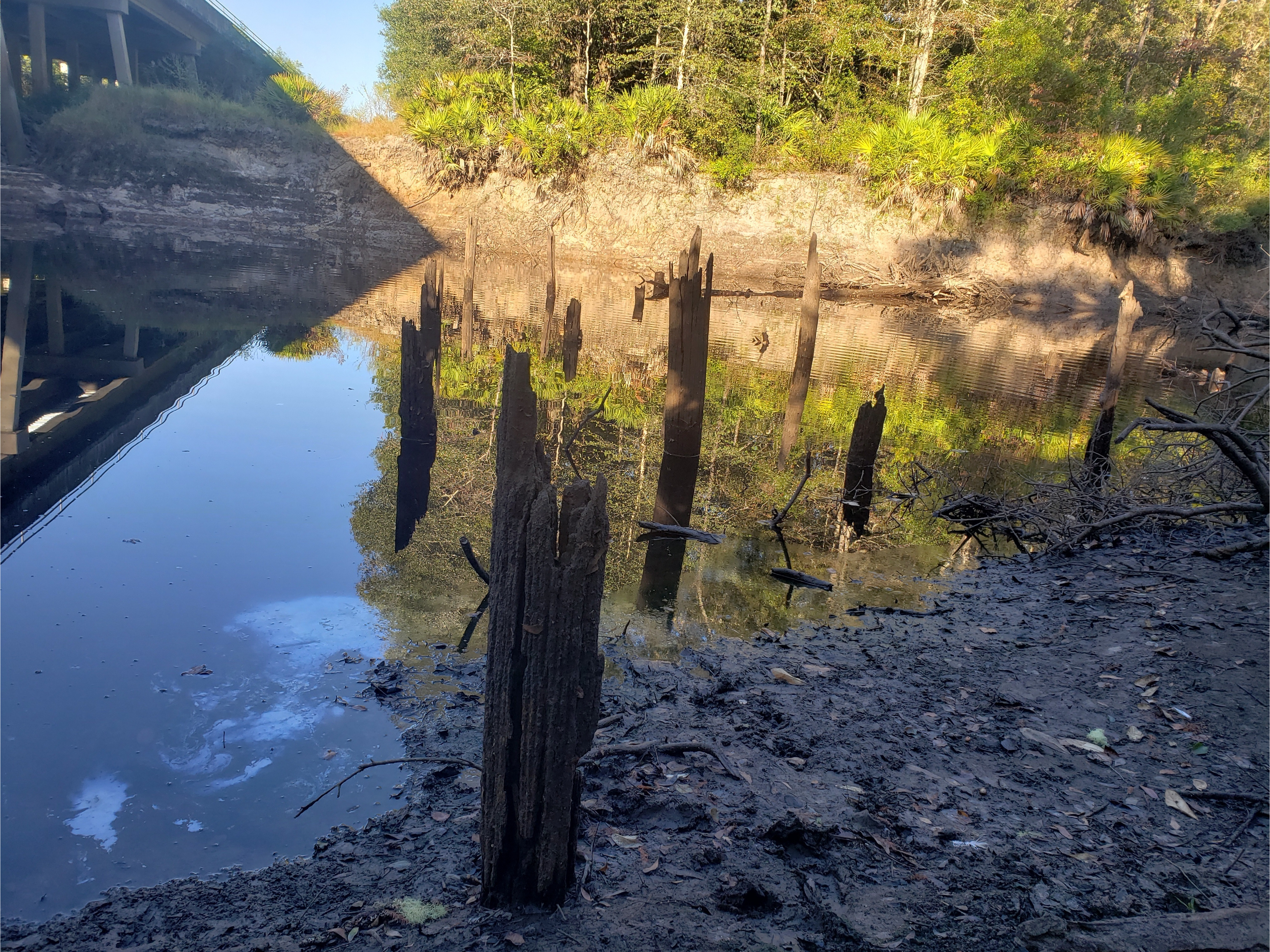 Old Pilings, Hagan Bridge, Withlacoochee River @ GA 122 2022-10-06