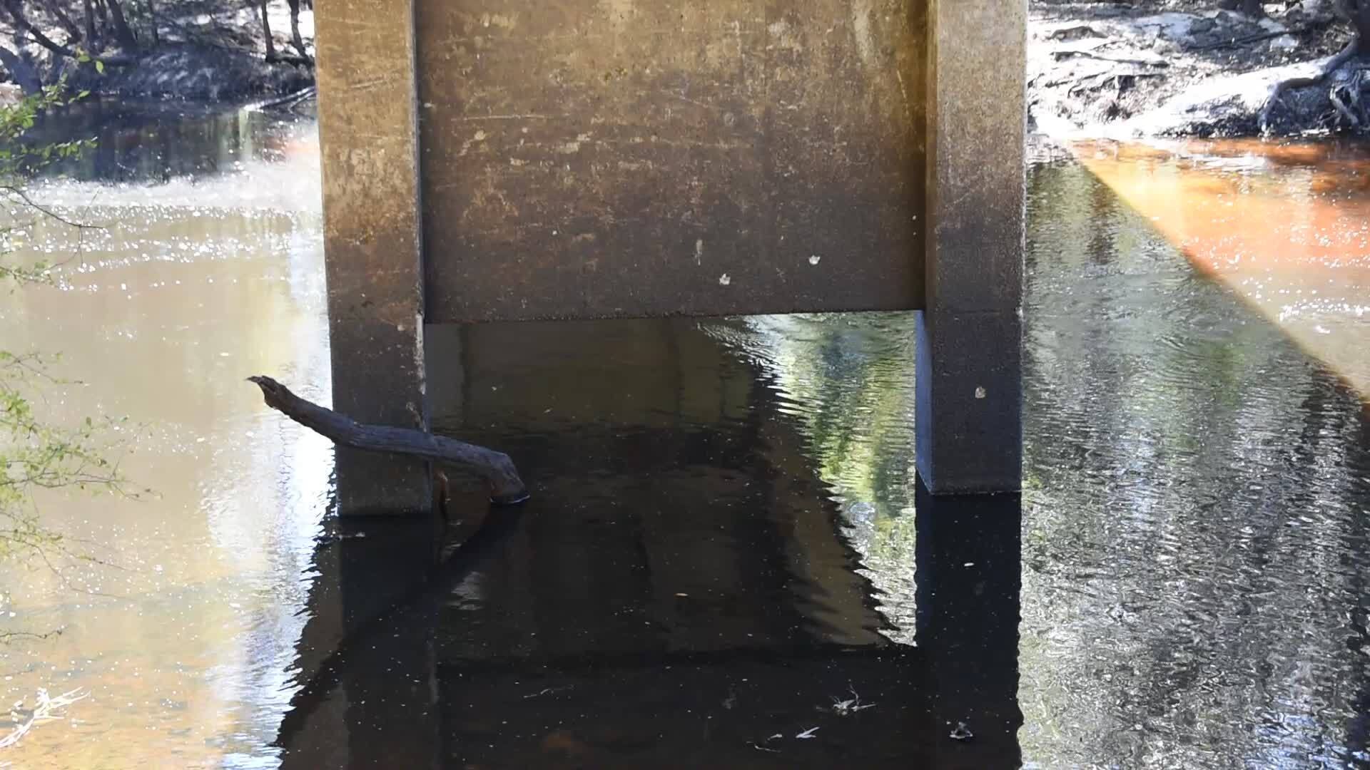 Movie: Nankin Boat Ramp Water Level, Withlacoochee River @ Clyattville-Nankin Road 2022-10-06