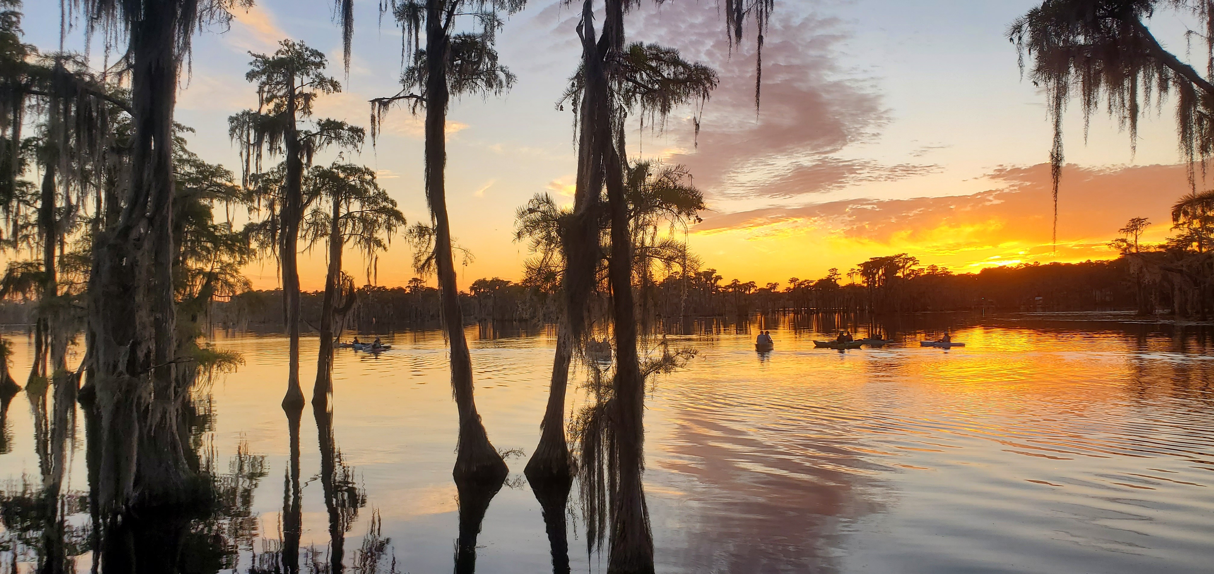 Cypress sunset