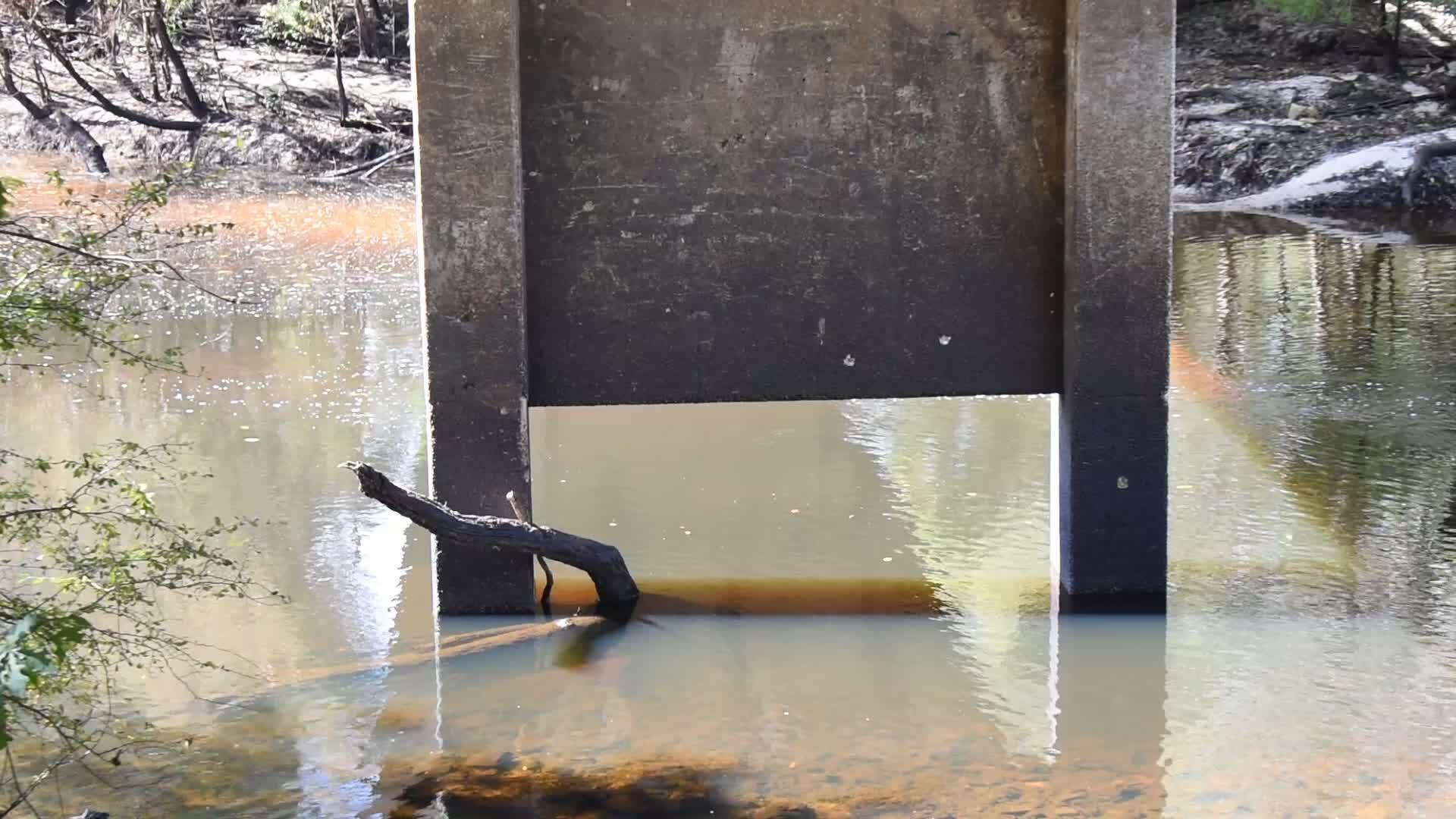 Movie: Nankin Boat Ramp Water Level, Withlacoochee River @ Clyattville-Nankin Road 2022-10-13