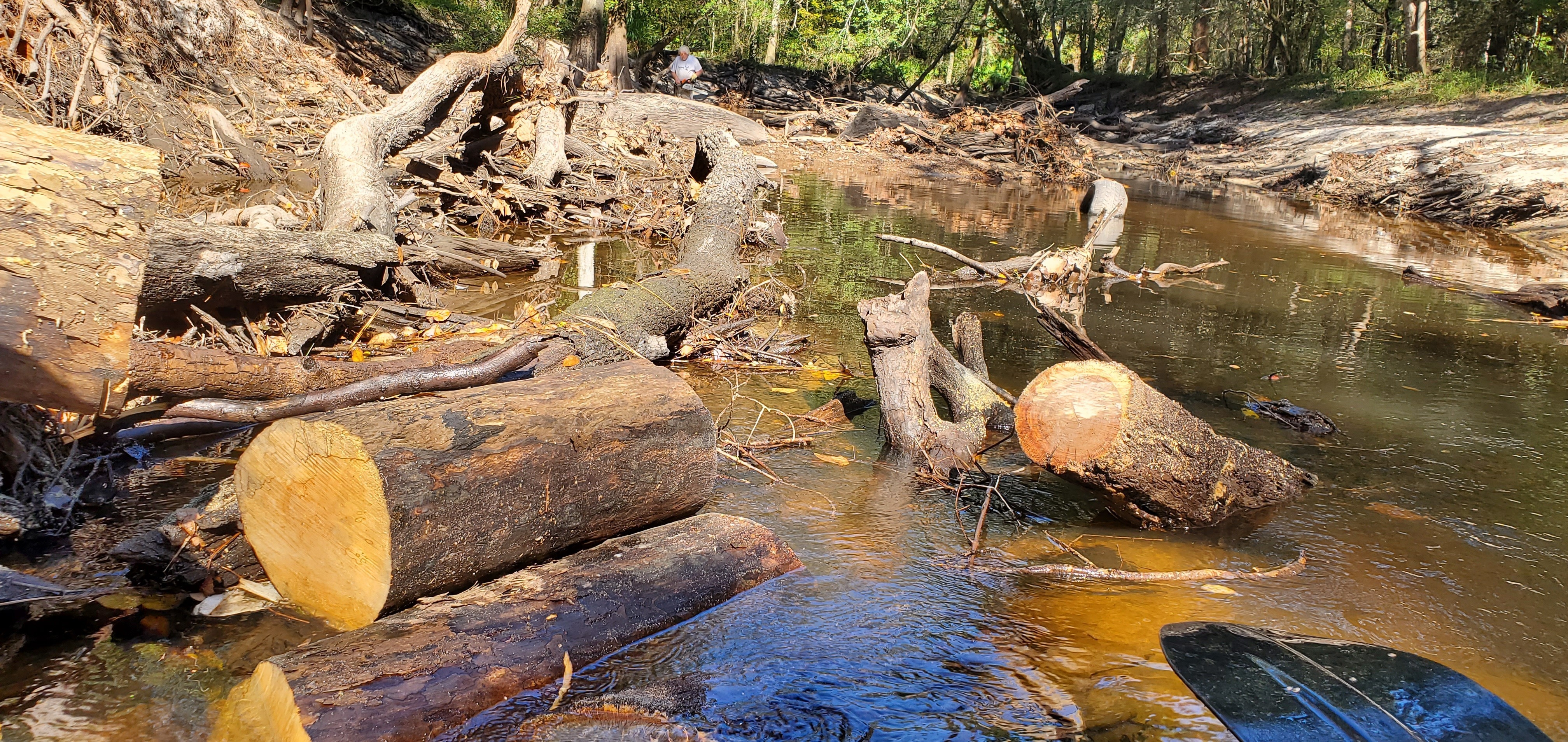 50 feet downstream, 11:18:35, 30.8629598, -83.3221543