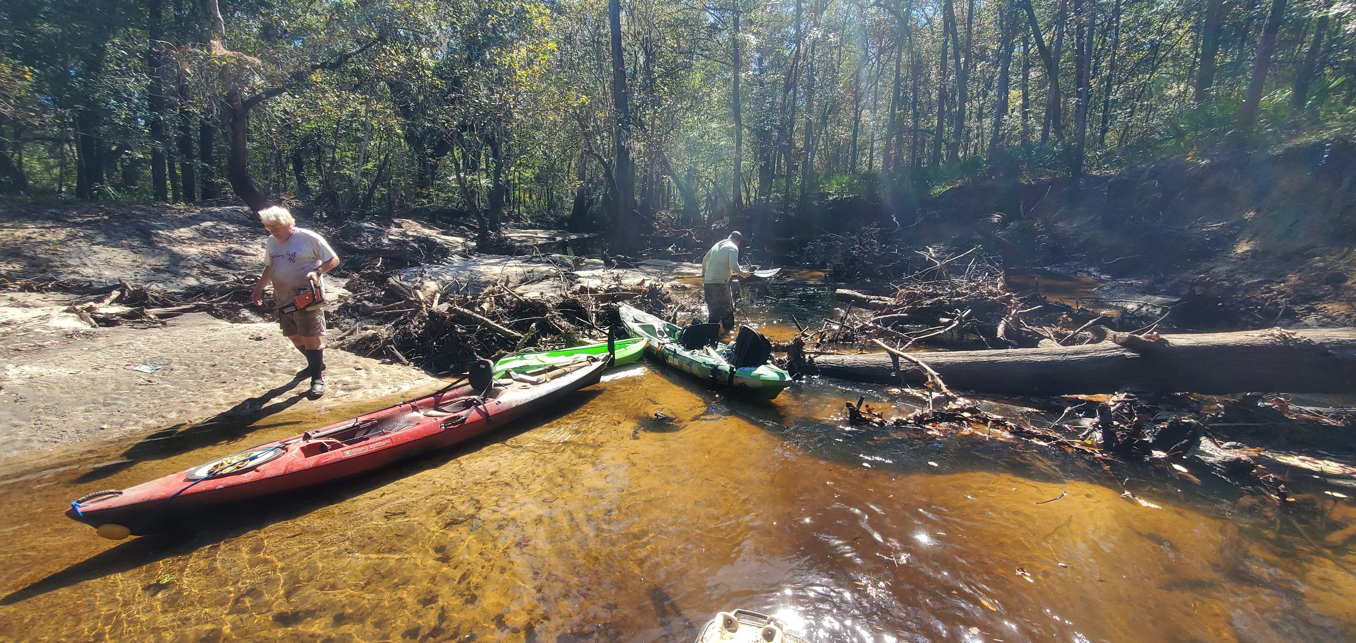 Boats and logs, 12:17:40, 30.8630967, -83.3234037