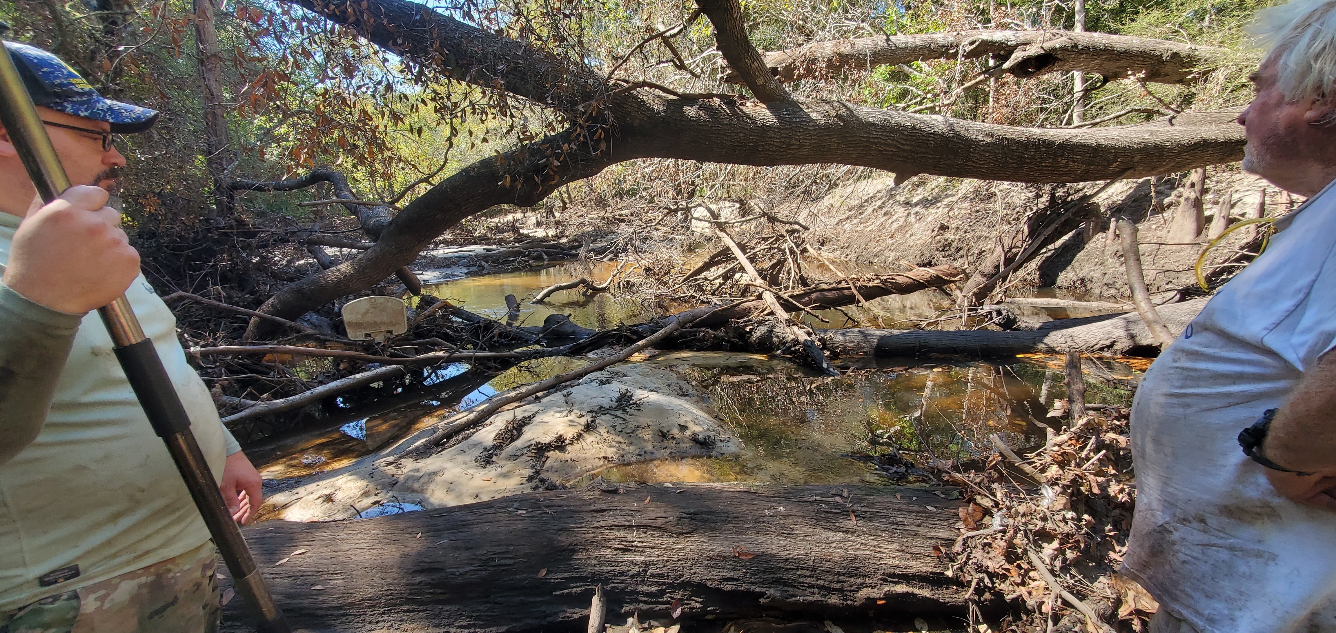 Lower logs embedded in sand, 13:12:07, 30.8614667, -83.3234422