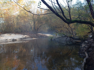 [Farther up, Folsom Bridge Landing, Little River @ GA 122 2022-10-20]