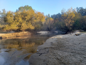 [Upstream, Folsom Bridge Landing, Little River @ GA 122 2022-10-20]