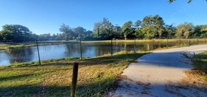 [Lee St. Detention Pond from Azalea City Trail, 2022:10:18 09:07:05, 30.8477220, -83.2782570]