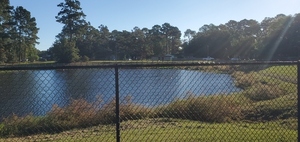 [Azalea City Trail back to detention pond, 2022:10:18 09:11:41, 30.8469100, -83.2793840]