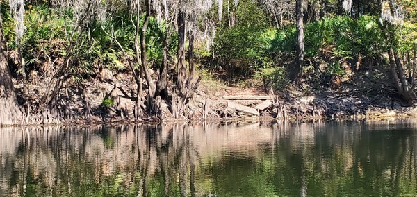 [Withlacoochee East Conservation Landing, 11:59:40, 30.6324223, -83.2953469]