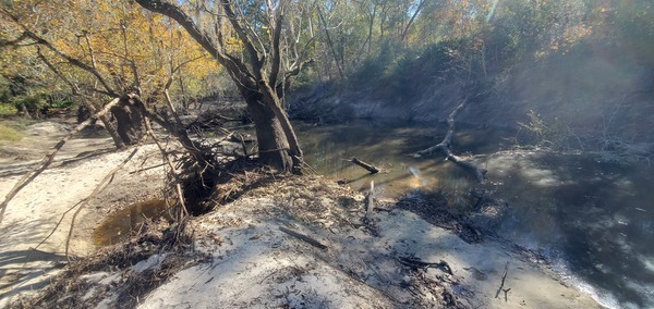 Downstream, sample site to Langdale Park Boat Ramp, 15:13:24, 30.8875745, -83.3241709