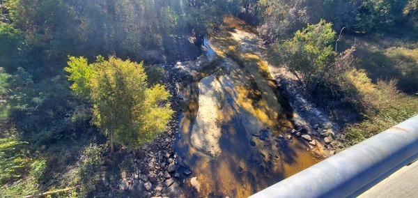 [Downstream, Withlacoochee River @ GA 133, 15:38:08, 30.8499570, -83.3397382]