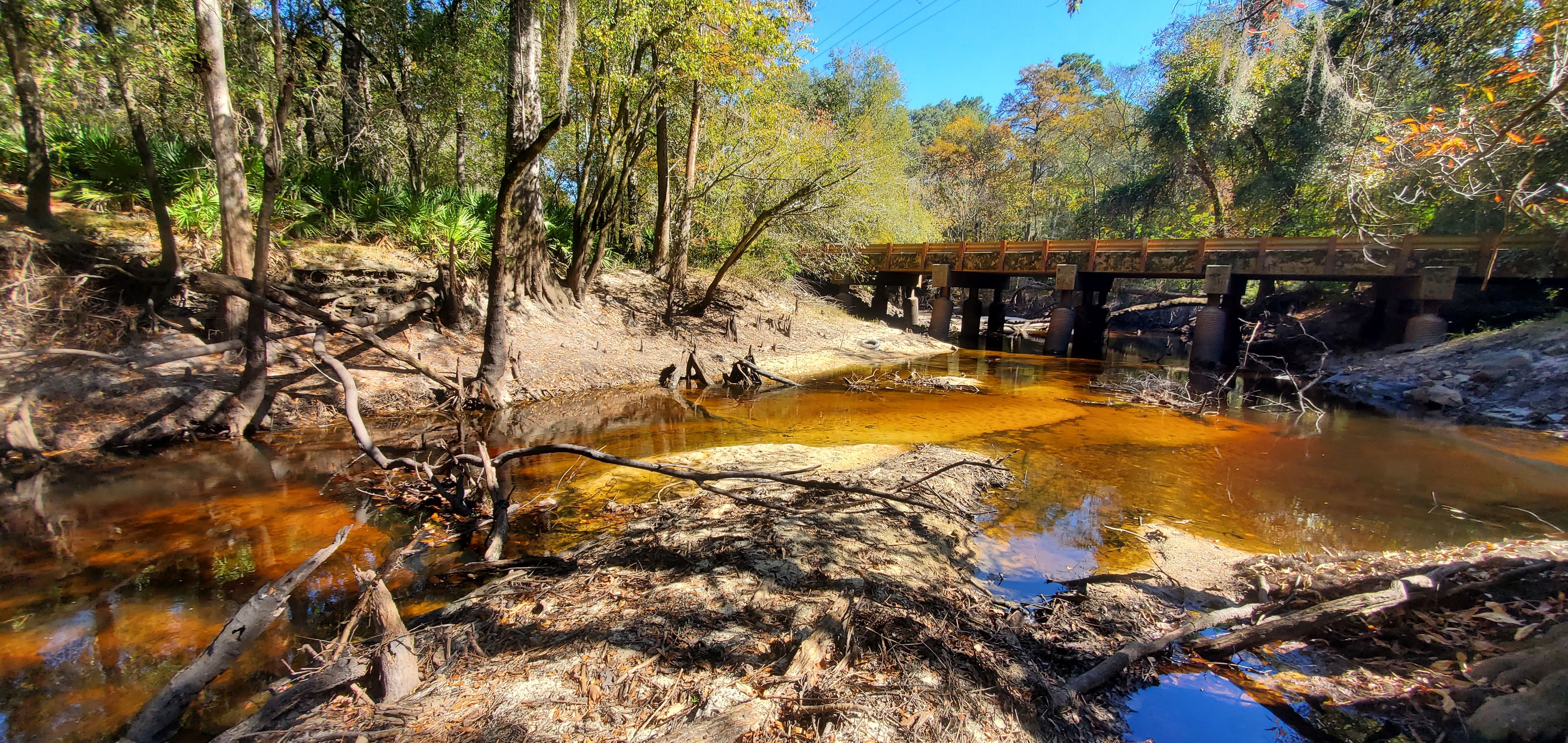 Downstream to Tyler Bridge, 13:59:27, 30.9817329, -83.2679384