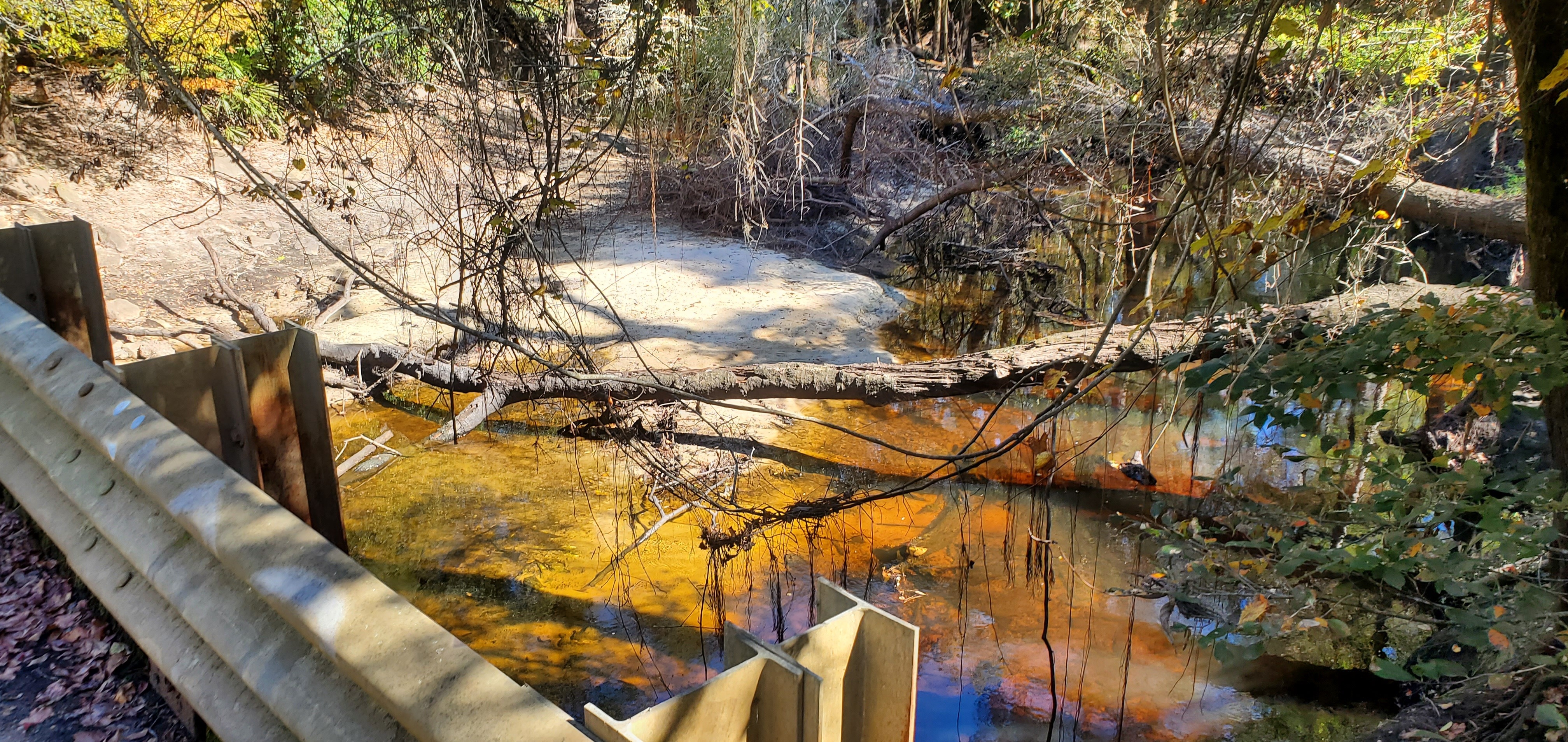 Downstream from Tyler Bridge, 14:08:48, 30.9812262, -83.2676542