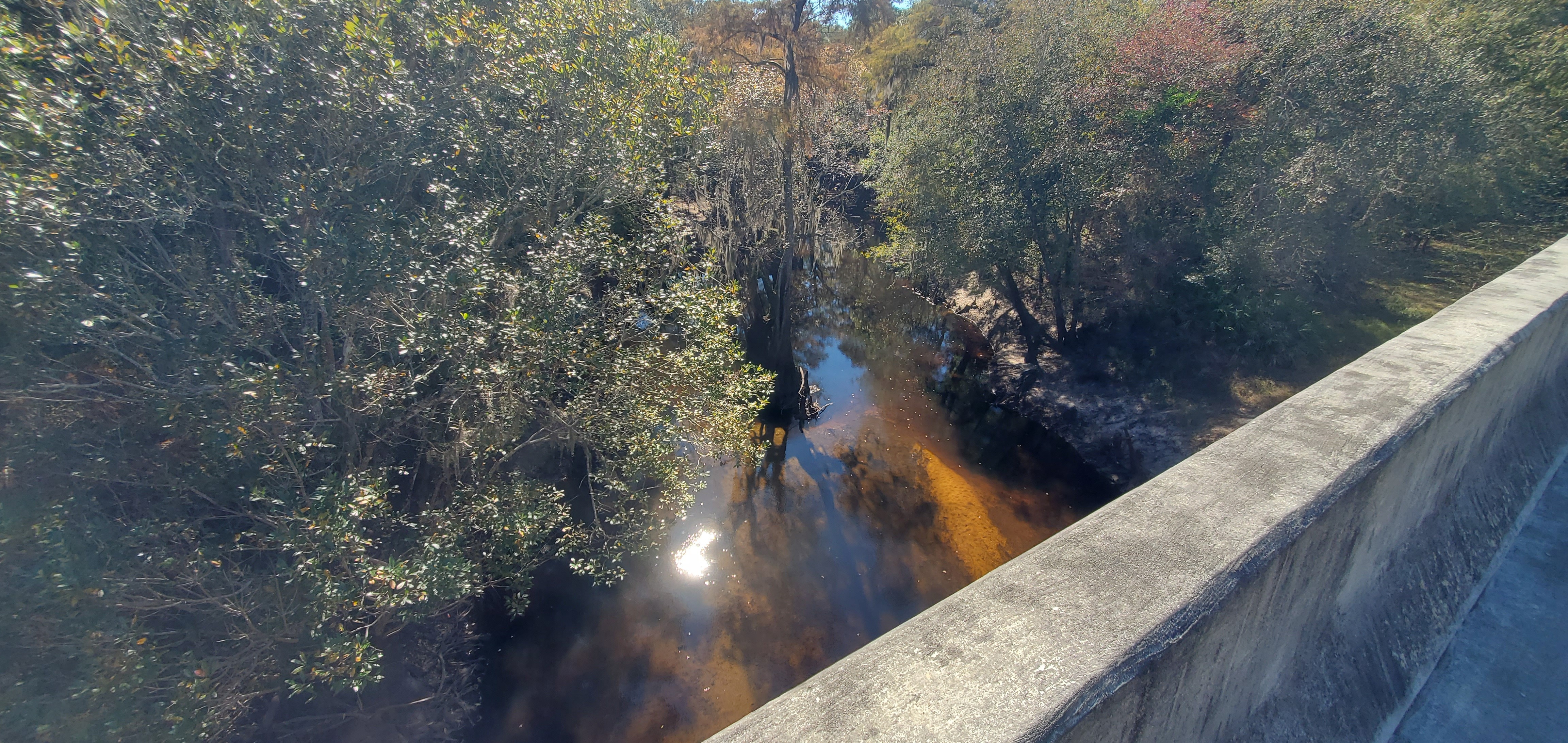 Wider downstream from Skipper Bridge, 14:49:12, 30.9488436, -83.2718963