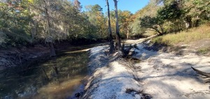 [Sandbar upsgtream from Langdale Park Boat Ramp, 15:13:19, 30.8875745, -83.3241709]