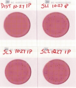 [Plates, State Line Boat Ramp 2022-10-27]